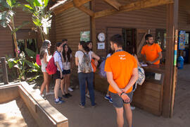 Actividad en Aventura Amazonia Marbella. Olimpiada Española de Economía, Fase Nacional. Marbella. Junio de 2015