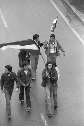 Manifestación por la autonomía de Andalucía. 1977-12-04. Málaga, España. 1.2. Manifestación.