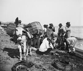El Copo. Venta del pescado. Playa de Pedregalejo. 1910. Málaga. España. Colección Gonzalo de Castro-144