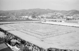 Alumnos haciendo deporte en la Escuela de Formación Profesional Francisco Franco. Abril de 1959. Málaga, España