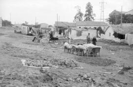 Viviendas. Arroyo del Cuarto. 1955-11, noviembre. Inundaciones del 29 de octubre de 1955. Málaga, España.