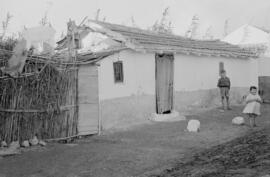 Viviendas. Noviembre de 1954. Málaga, España