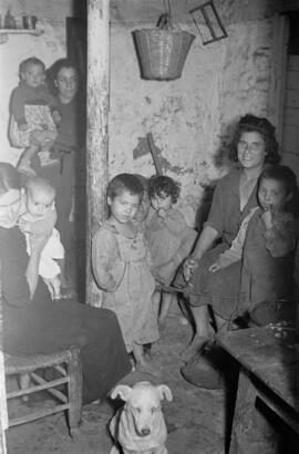 Viviendas. Diciembre de 1954. Málaga. España