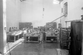 Fábrica de conservas Santa Rosa, de Diego Martín Caballero, barrio de El Perchel. Mayo de 1955. Málaga, España.