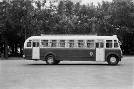 Autobuses urbanos montados en la factoría Taillefer. Parque de Málaga. Agosto de 1952. España