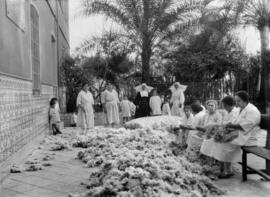 Casa Cuna, labores de aseo y limpieza de colchones infantiles. Hacia 1925. Málaga, España.