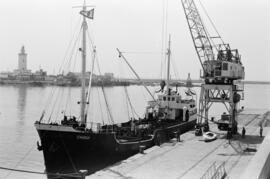 Puerto de Málaga. 1959, julio. España.