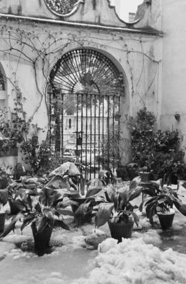 Málaga nevada. En el entorno de la Catedral. Febrero de 1954. España-01
