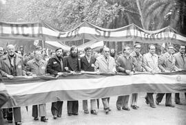 Manifestación por la autonomía de Andalucía. 1977-12-04. Málaga, España. 1.4. Manifestación.