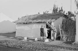 Viviendas. Noviembre de 1954. Málaga, España.