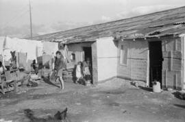 Viviendas. Agosto de 1952. Málaga, España.