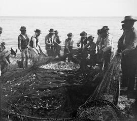 EL copo. Reuniendo el pescado. Playa de Pedregalejo.1910. Málaga. España.  Colección Gonzalo de Castro-146