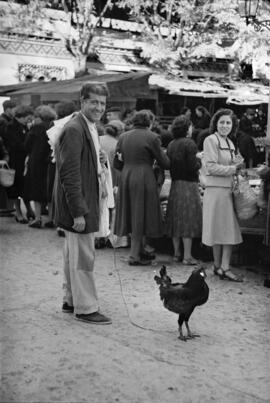 Puestos de mercado situados en el entorno del Mercado del Molinillo. Diciembre de 1952. Málaga, España.