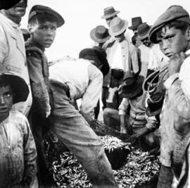 EL copo. Recogiendo el pescado. Playa de Pedregalejo. 1910. Málaga. España.  Colección Gonzalo de Castro-148