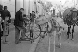 Afilador. Calle de la Victoria. Hacia 1949. Málaga, España.