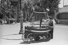 Parque. Cacahuetes ambulantes. Hacia 1950. Málaga, España.