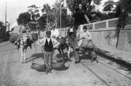 Vendedores de pescado. Cenacheros. Paseo de Sancha. Málaga, España. Retrato. 01