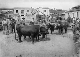 Playas del Bulto. Retrato de grupo. Hacia 1910. Málaga, España. 02