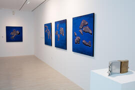 Exposición "Inventario", de Buly. Centro de Arte Contemporáneo Francisco Hernández, Vélez-Málaga. Febrero de 2019