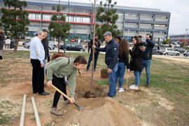 "Primera arbolada" en la Universidad de Málaga. Escuela Técnica Superior de Ingeniería Industrial. Enero de 2020