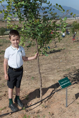 Incorporación de nuevos árboles al "Bosque del Conocimiento" en el Campus de Teatinos de la Universidad de Málaga. Junio de 2011