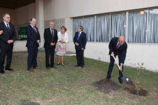 Open original Digital object