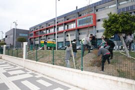 "Primera arbolada" en la Universidad de Málaga. Escuela Técnica Superior de Ingeniería Industrial. Enero de 2020