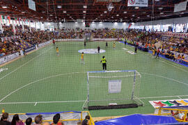 Partido Brasil contra España. 14º Campeonato del Mundo Universitario de Fútbol Sala 2014 (FUTSAL). Antequera. Julio de 2014