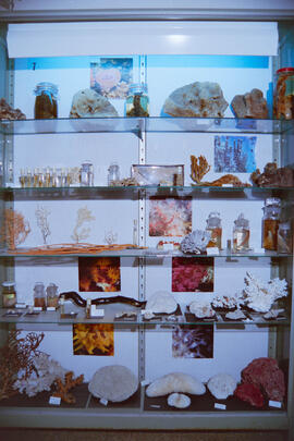 Instalaciones: Laboratorio. Mayo de 1995
