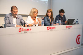 Intervención de Adelaida de la Calle en la mesa redonda "Economía Circular en la Industria". Curso "Principios de la Economía Circular". Cursos de Verano de la Universidad de Málaga. Málaga. Julio de 2018
