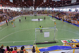 Partido Brasil contra España. 14º Campeonato del Mundo Universitario de Fútbol Sala 2014 (FUTSAL). Antequera. Julio de 2014