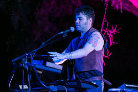 Joe Crepúsculo en concierto. Cursos de Verano de la Universidad de Málaga. Contenedor Cultural UMA. Julio de 2018