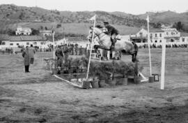Málaga. Fiestas de Invierno. Pruebas hípicas. Febrero de 1963