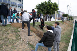 "Primera arbolada" en la Universidad de Málaga. Escuela Técnica Superior de Ingeniería Industrial. Enero de 2020