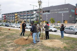 "Primera arbolada" en la Universidad de Málaga. Escuela Técnica Superior de Ingeniería Industrial. Enero de 2020