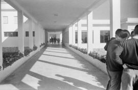 Exteriores de la Facultad de Ciencias Políticas, Económicas y Comerciales, en el Ejido. Noviembre de 1967. Málaga  (España)