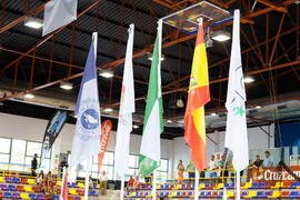 Banderas en la ceremonia de apertura del Campeonato del Mundo Universitario de Balonmano. Antequera. Junio de 2016