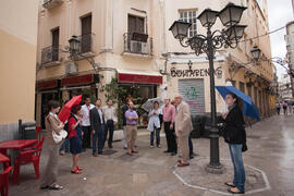 Visita anual de la conferencia de la RedOTRI en el centro histórico de Málaga. Junio de 2010