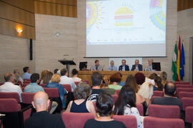 Taller «Un mundo de intolerancias: enfermedad, esnobismo y negocio». Curso "Ciencia y gastronomía. Desmontando leyendas urbanas". Cursos de Verano de la Universidad de Málaga. Málaga. Julio de 2019