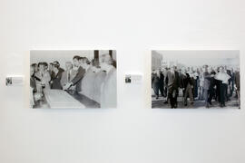Exposición "Universidad-Diputación. Juntos por Málaga". Sala de exposiciones de la Diputación Provincial. Septiembre de 2013