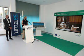 Inauguración de la exposición itinerante sobre el plan "Vive tu ciudad". Escuela Técnica Superior de Arquitectura de la Universidad de Málaga. Octubre de 2021