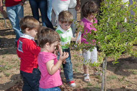 Incorporación de nuevos árboles al "Bosque del Conocimiento" en el Campus de Teatinos de la Universidad de Málaga. Junio de 2011