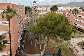 Facultad de Ciencias Económicas y Empresariales. Campus de El Ejido. Abril de 2021