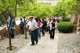 Visita anual de la conferencia de la RedOTRI en el centro histórico de Málaga. Junio de 2010